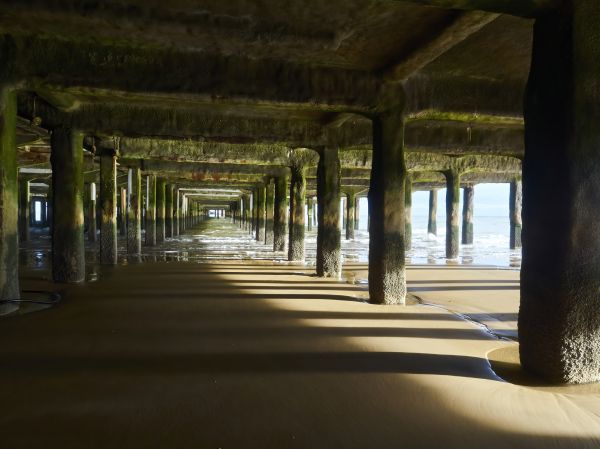 Cost of Pier And Beam Leveling in Sylvania